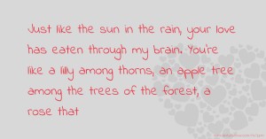 Just like the sun in the rain, your love has eaten through my brain. You're like a lilly among thorns, an apple tree among the trees of the forest, a rose that