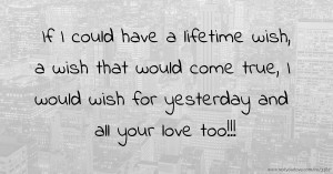 If I could have a lifetime wish, a wish that would come true, I would wish for yesterday and all your love too!!!