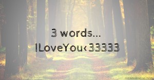 3 words...  ILoveYou<33333.