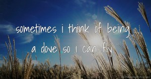 sometimes i think of being a dove so i can fly