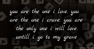 you are the one i love. you are the one i crave. you are the only one i will love untill i go to my grave