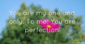 You are my one and only. To me, You are perfection.