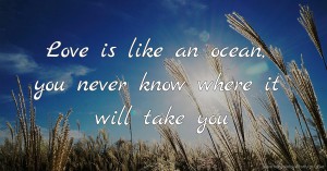 Love is like an ocean, you never know where it will take you
