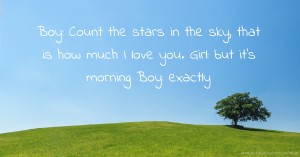 Boy: Count the stars in the sky, that is how much I love you.  Girl: but it's morning  Boy: exactly