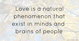 Love is a natural phenomenon that exist in minds and brains of people.