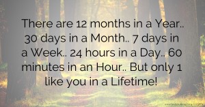 There are 12 months in a Year.. 30 days in a Month.. 7 days in a Week.. 24 hours in a Day.. 60 minutes in an Hour.. But only 1 like you in a Lifetime!