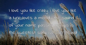 I love you like crazy I love you like a lyric loves a melody the sound of your name passing my lips is the sweetest song I've ever heard