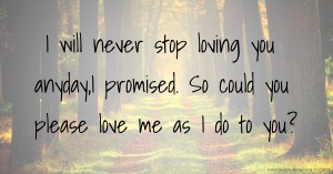 I will never stop loving you anyday,I promised. So could you please love me as I do to you?