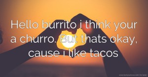 Hello burrito i think your a churro. But thats okay, cause i like tacos