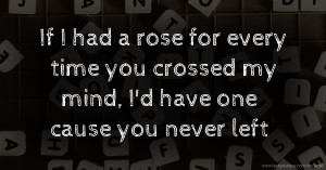 If I had a rose for every time you crossed my mind, I'd have one cause you never left.