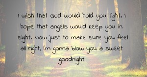 I wish that God would hold you tight. I hope that angels would keep you in sight. Now just to make sure you feel all right, I'm gonna blow you a sweet goodnight