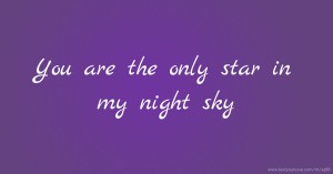 You are the only star in my night sky