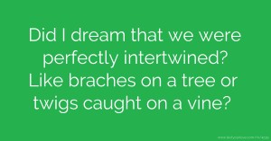 Did I dream that we were perfectly intertwined? Like braches on a tree or twigs caught on a vine?