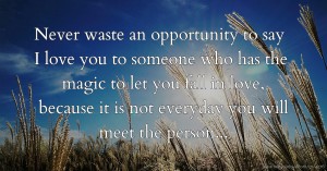 Never waste an opportunity to say I love you to someone who has the magic to let you fall in love, because it is not everyday you will meet the person...