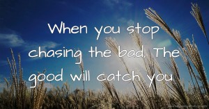 When you stop chasing the bad, The good will catch you.