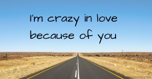 I'm crazy in love because of you