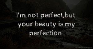 I'm not perfect,but your beauty is my perfection