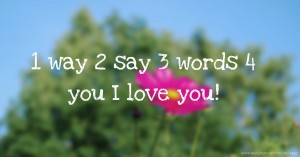 1 way  2 say  3 words  4 you  I love you!