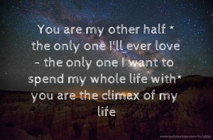 You are my other half * the only one I'll ever love - the only one I want to spend my whole life with* you are the climax of my life.