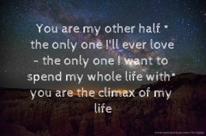 You are my other half * the only one I'll ever love - the only one I want to spend my whole life with* you are the climax of my life.