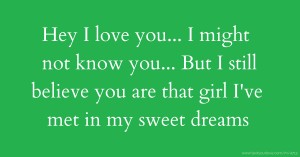 Hey I love you... I might not know you... But I still believe you are that girl I've met in my sweet dreams.
