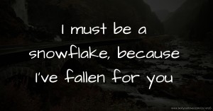 I must be a snowflake, because I've fallen for you