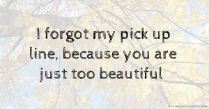 I forgot my pick up line, because you are just too beautiful.