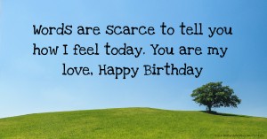 Words are scarce to tell you how I feel today. You are my love, Happy Birthday