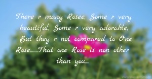 There r many Rosee, Some r very beautiful, Some r very adorable, But they r not compared to One Rose.......That one Rose is non other than you....