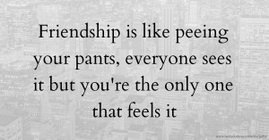 Friendship is like peeing your pants, everyone sees it but you're the only one that feels it.