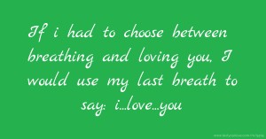 If i had to choose between breathing and loving you, I would use my last breath to say: i...love...you