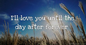 I'll love you until the day after forever.