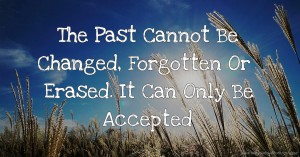 The Past Cannot Be Changed,  Forgotten Or Erased. It Can Only  Be Accepted.