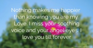 Nothing makes me happier than knowing you are my Love. I miss your soothing voice and your angel eyes. I love you till forever.