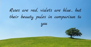 Roses are red, violets are blue... but their beauty pales in comparison to you