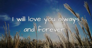 I will love you always and forever