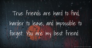 True friends are hard to find, harder to leave, and impossible to forget. You are my best friend.