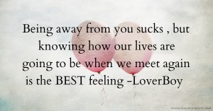 Being away from you sucks , but knowing how our lives are going to be when we meet again is the BEST feeling -LoverBoy💘
