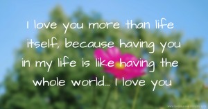 I love you more than life itself, because having you in my life is like having the whole world... I love you.
