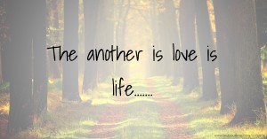 The another is love is life.......