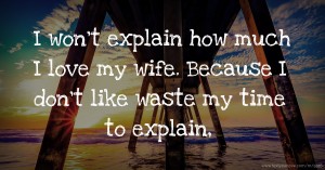 I won't explain how much I love my wife. Because I don't like waste my time to explain,