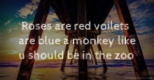 Roses are red voilets are blue a monkey like u should be in the zoo