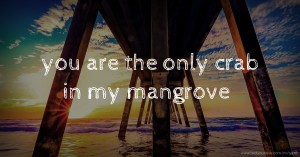 you are the only crab in my mangrove
