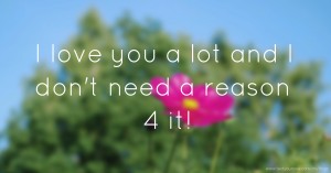 I love you a lot and I don't need a reason 4 it!
