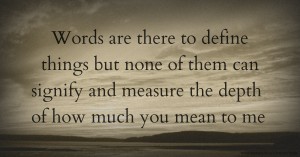 Words are there to define things but none of them can signify and measure the depth of how much you mean to me.