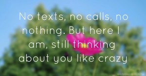 No texts, no calls, no nothing. But here I am, still thinking about you like crazy.