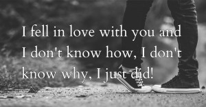 I fell in love with you and I don't know how, I don't know why, I just did!