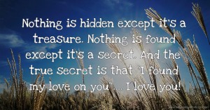Nothing is hidden except it's a treasure. Nothing is found except it's a secret. And the true secret is that I found my love on you....  I love you!
