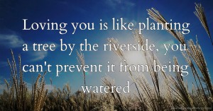 Loving you is like planting a tree by the riverside, you can't prevent it from being watered.