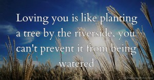 Loving you is like planting a tree by the riverside, you can't prevent it from being watered.